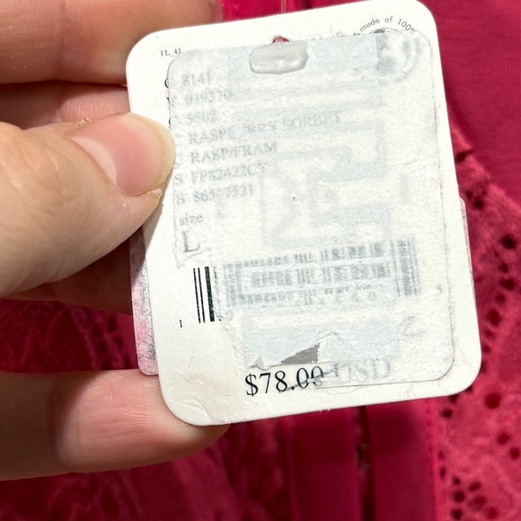 NWT Free People Rhythm Night Lace Thong Bodysuit Large L Raspberry Sorbet Sexy - Picture 4 of 8